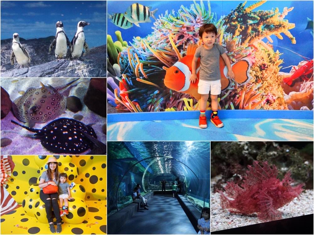 曼谷親子景點推薦｜曼谷暹羅海洋世界Sea Life Bangkok Ocean World、杜莎夫人蠟像館 | 百貨公司內下雨天.大熱天室內景點推薦！